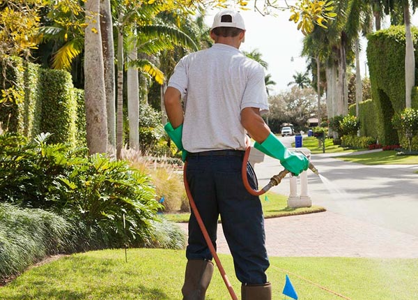 About Arden NY Pest Control Pros